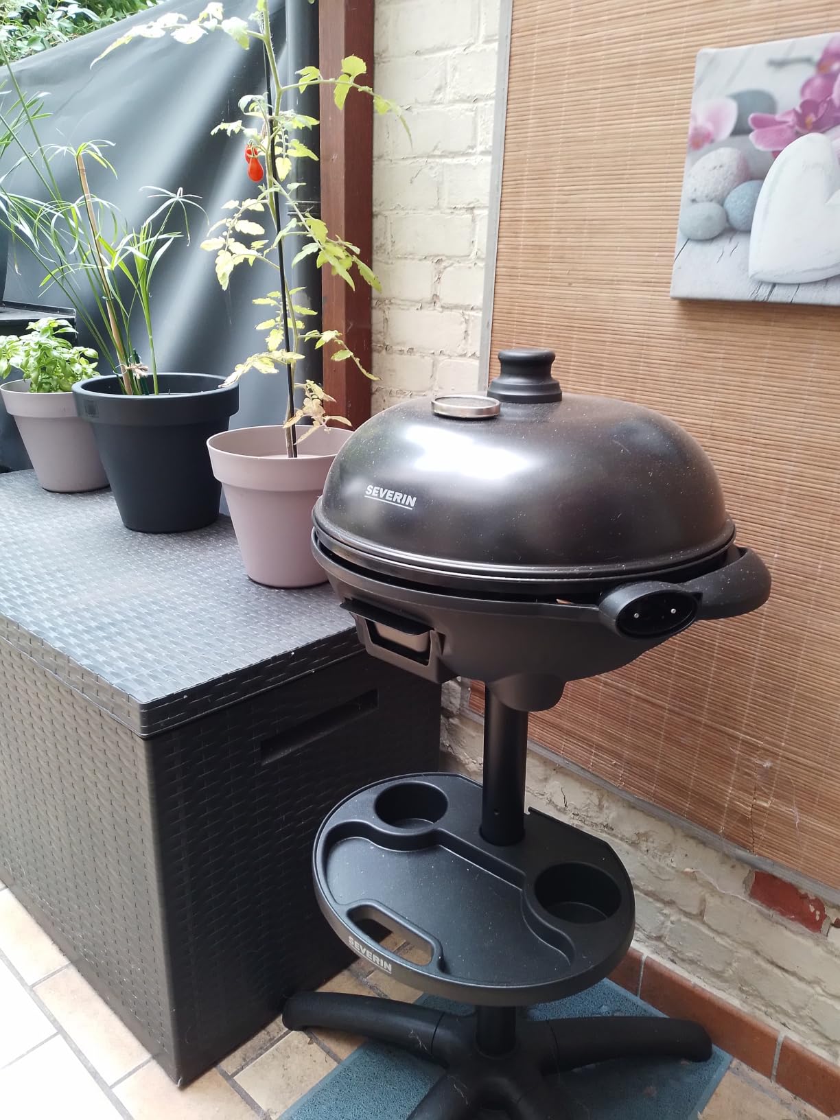Severin PG 8541 Barbecue Elettrico 41cm 2000W Nero