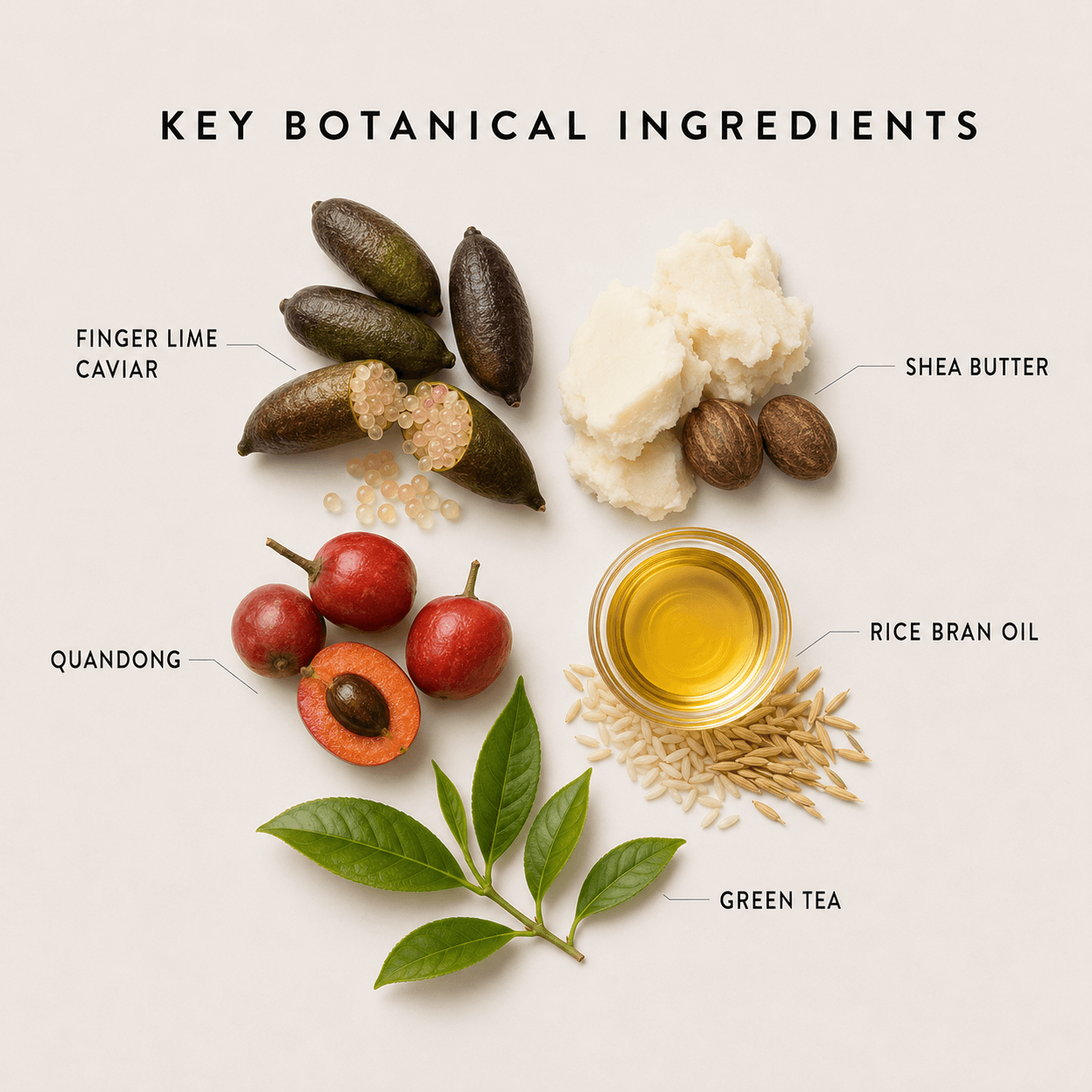 Merindah Botanicals Hand Care crema mani nutriente naturale