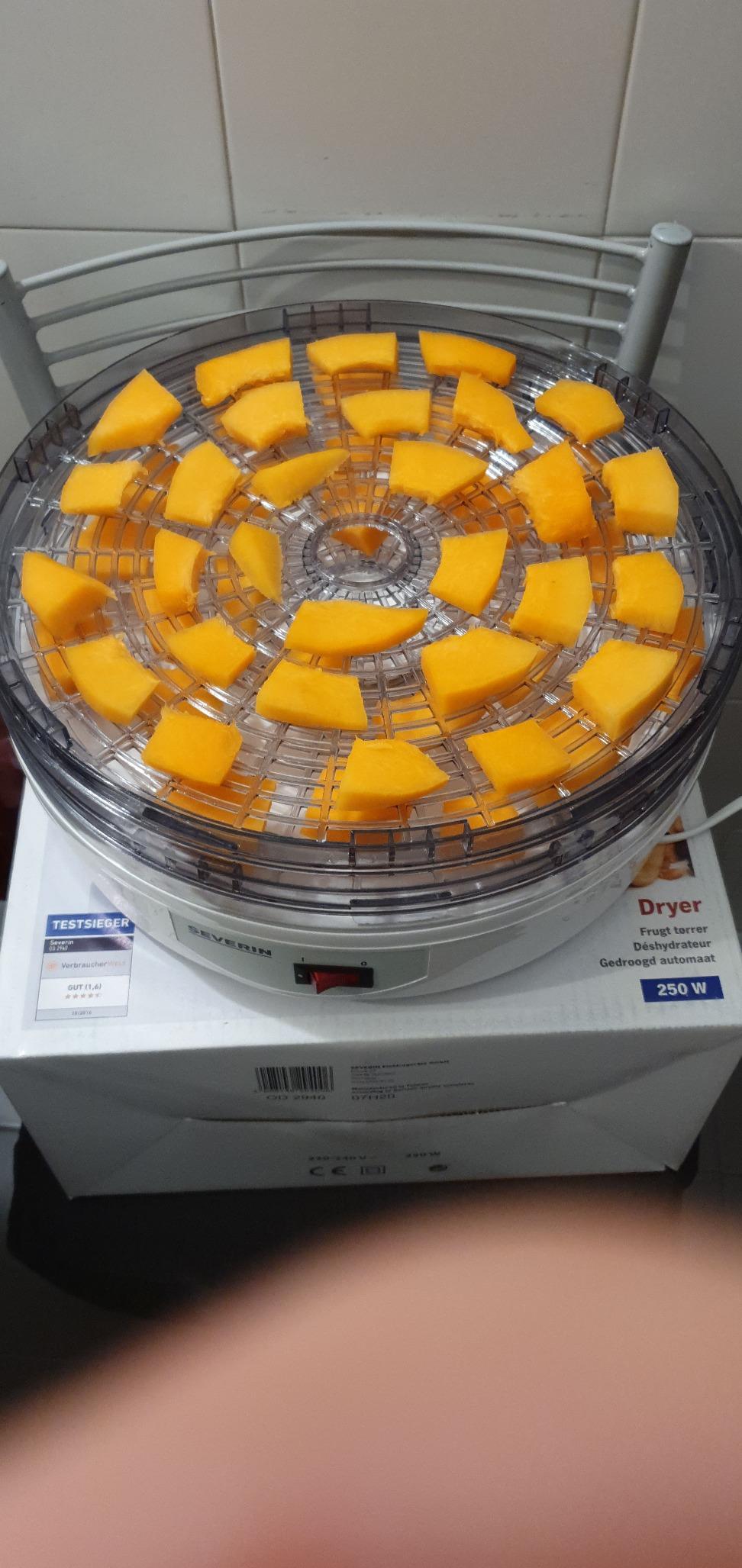 Severin OD 2940 Essiccatore Alimentare 5 Ripiani Frutta Verdure