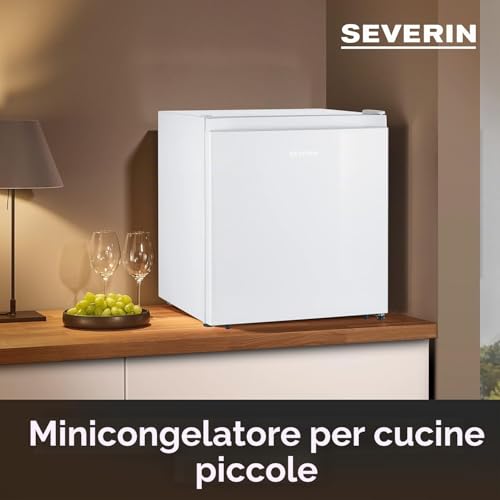 Severin GB 8886 Mini Congelatore 32 Litri 4 Stelle